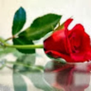 Meet your Posher, Marcela